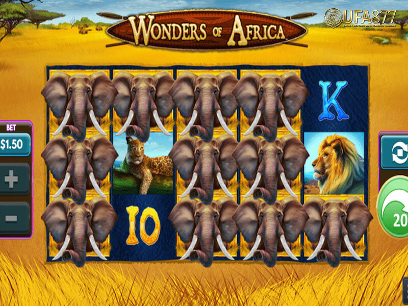 Wonders of Africa